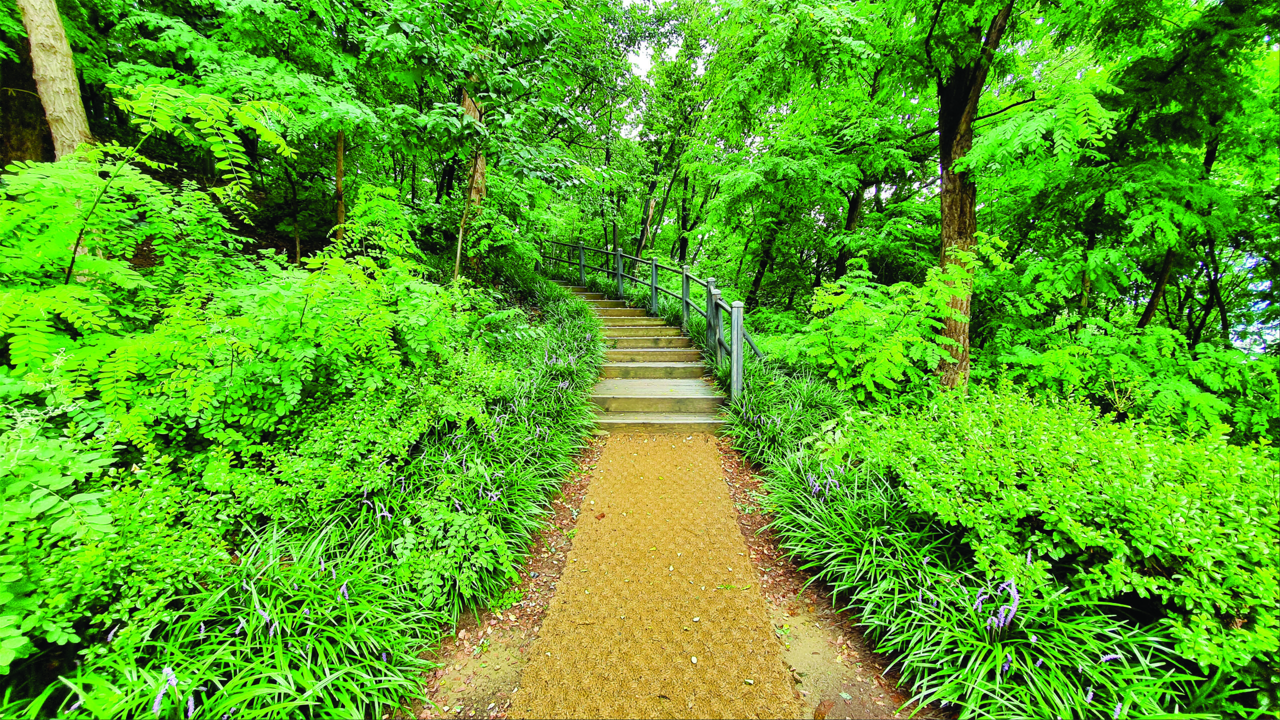 도곡근린공원 ‘걷고 싶은 매봉길’