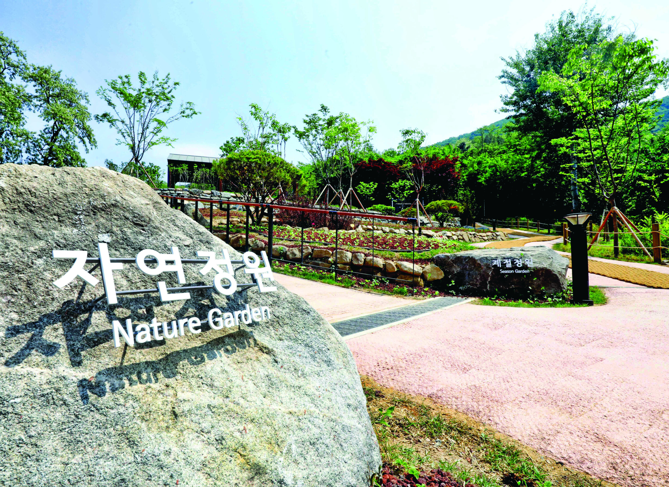 Daemosan Forest Wildflower Garden