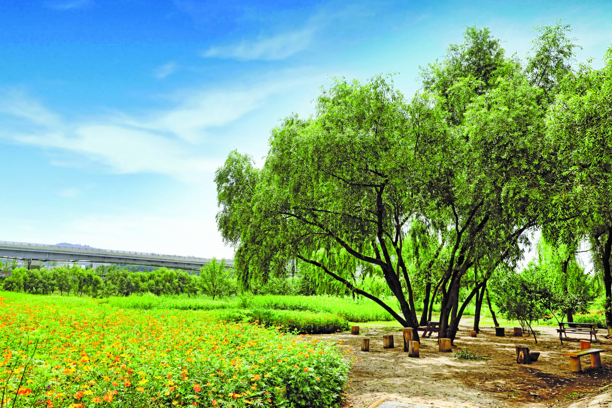 Segokcheon Stream Trail