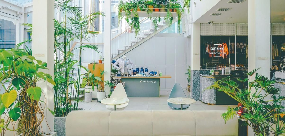 Cafe Mula - Tiramisu From A to Z