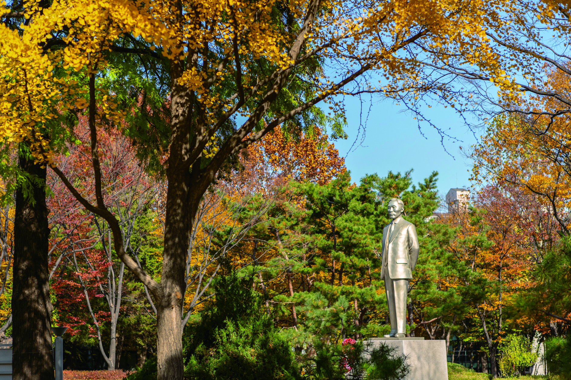 Dosan Park Urban Green Space to Unwind in Apgujeong 2