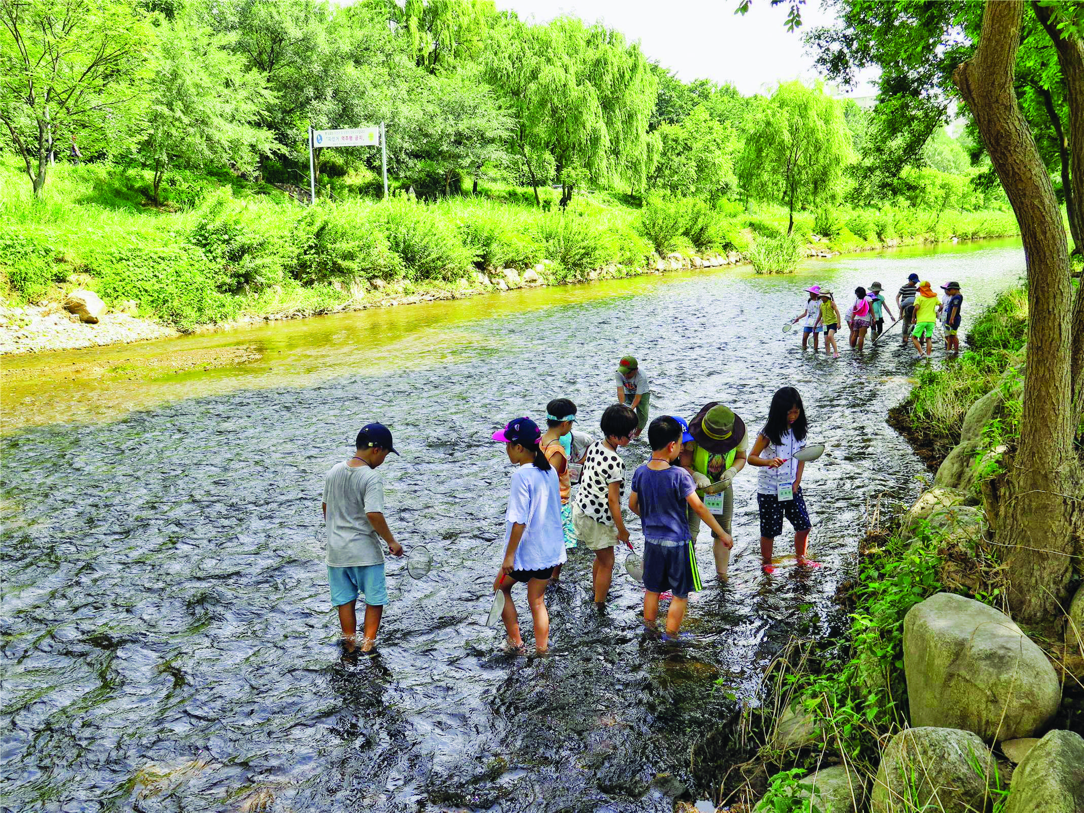 Yangjaecheon & Tancheon Visitor Center 2