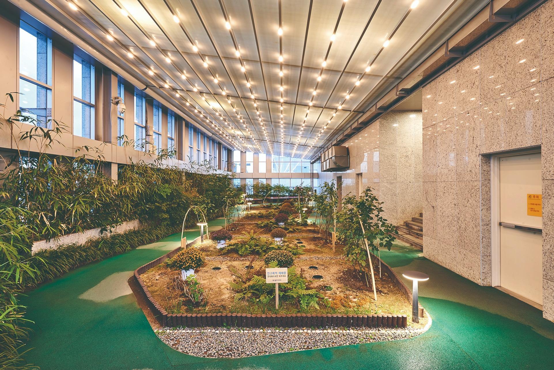 Jaseng International Clinic - Non-Surgical Spine Treatment 2