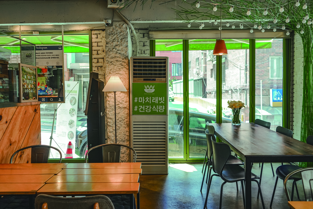 March Rabbit Salad (Sinsa-dong Garosu-gil Main Branch)