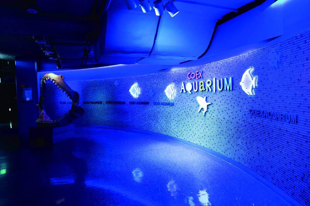 코엑스 아쿠아리움