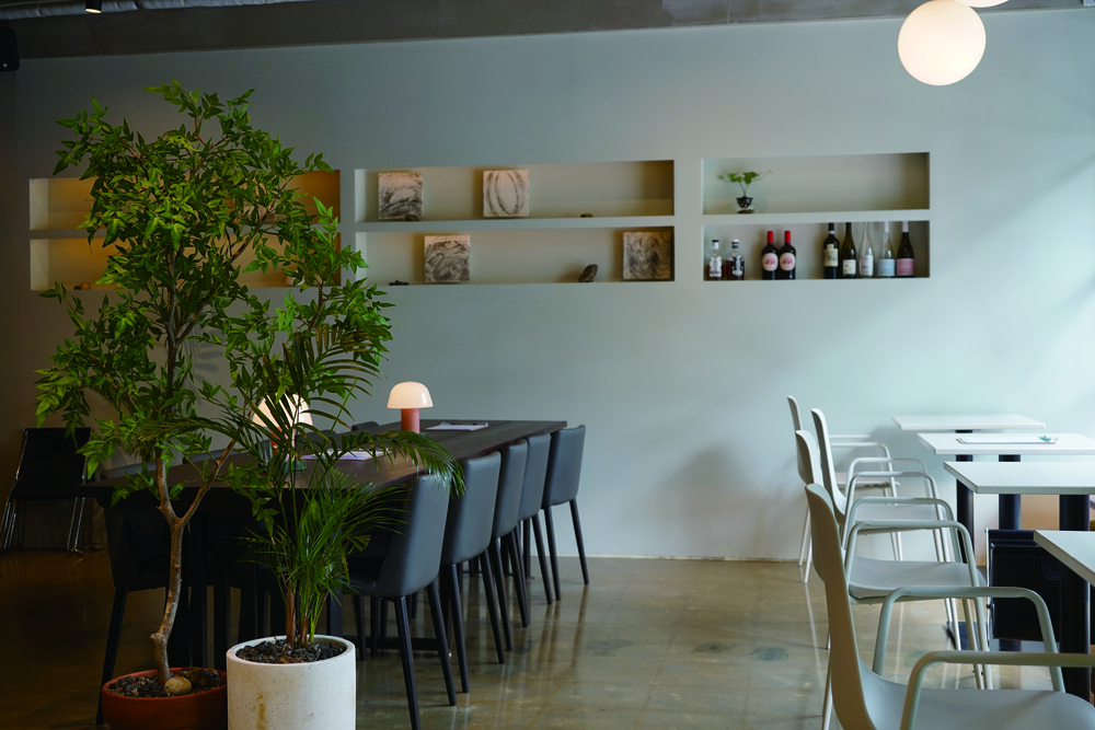 Vegetarian 햄버거도 비건이 되나요? 채식 음식점