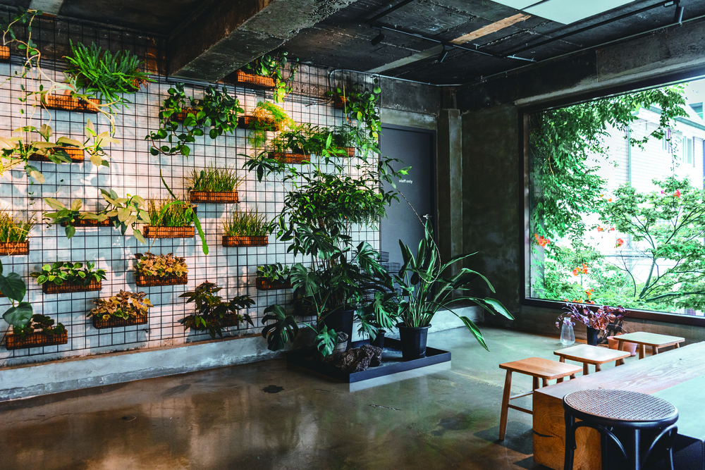 Special: Maebong Station Cafe Street