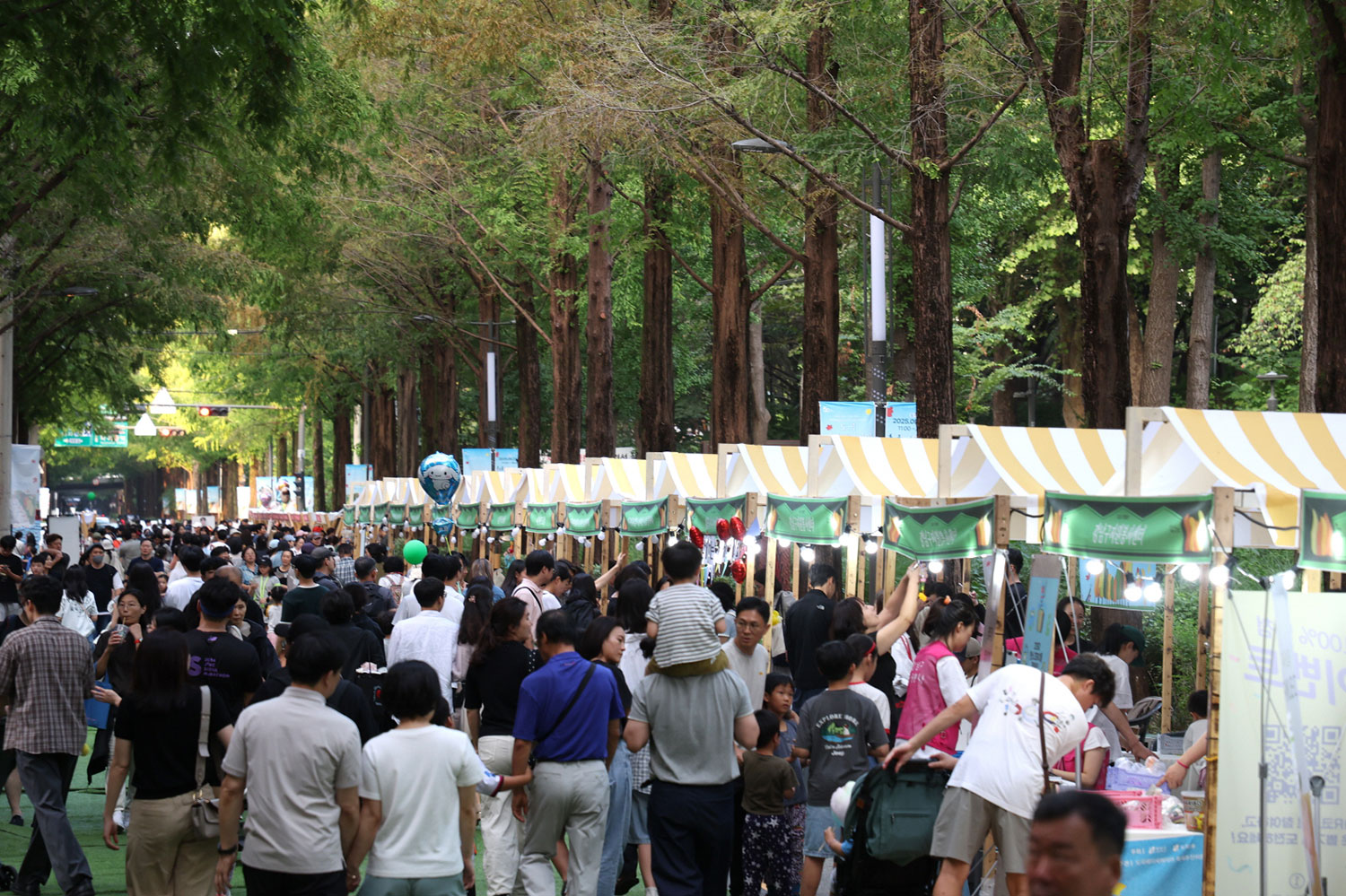 Dogok Metasequoia Road Festa