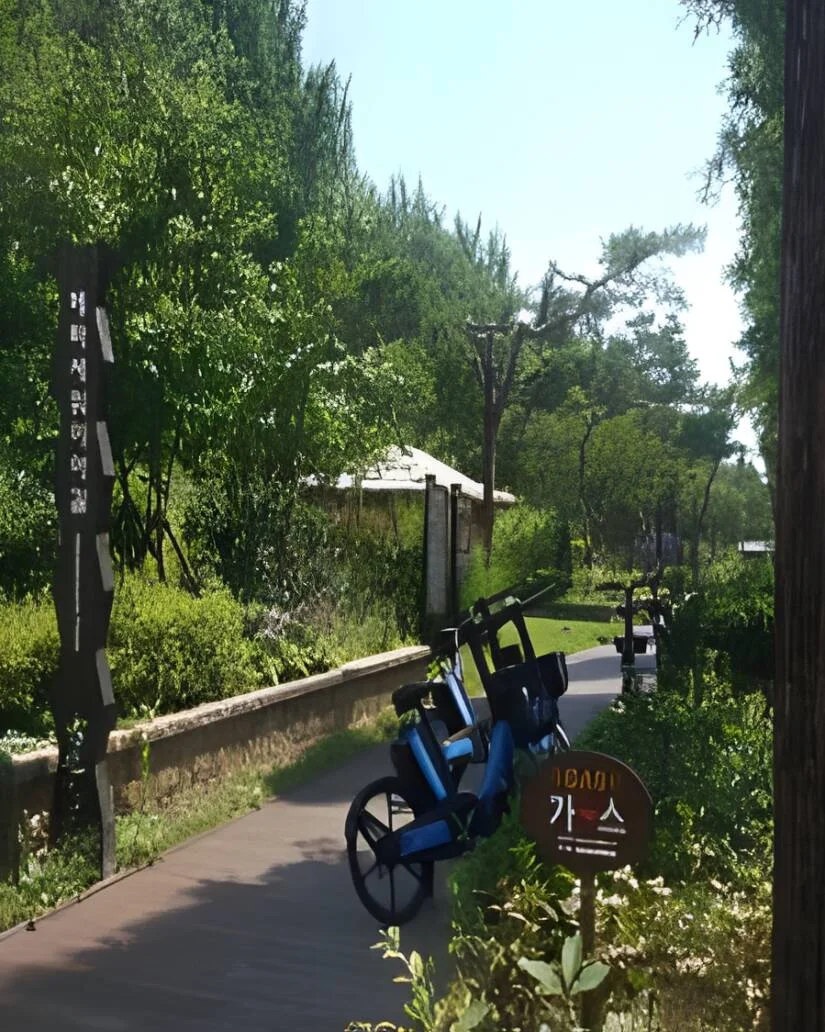 양재천 메타세쿼이아길