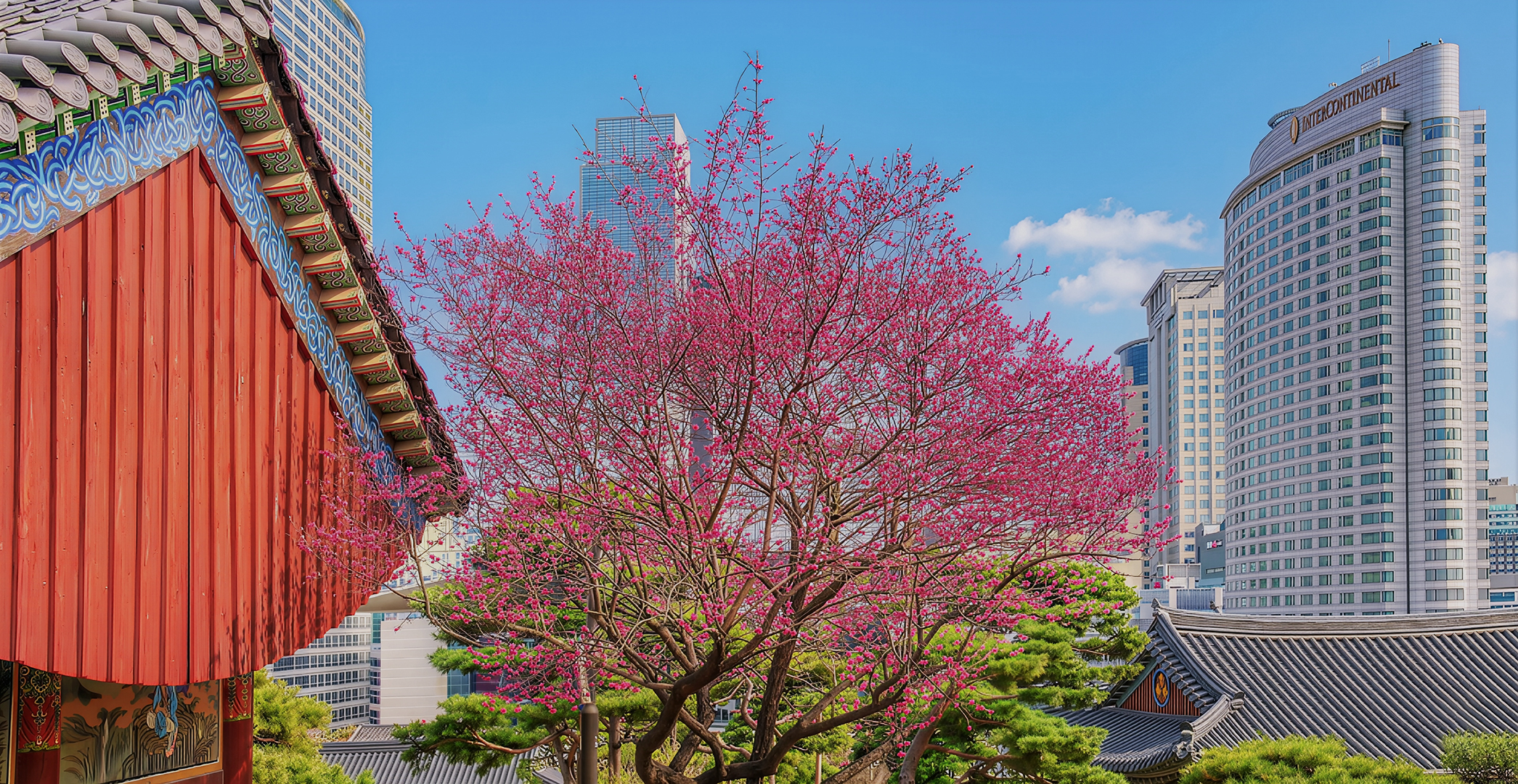 Fall in Love 
with Gangnam