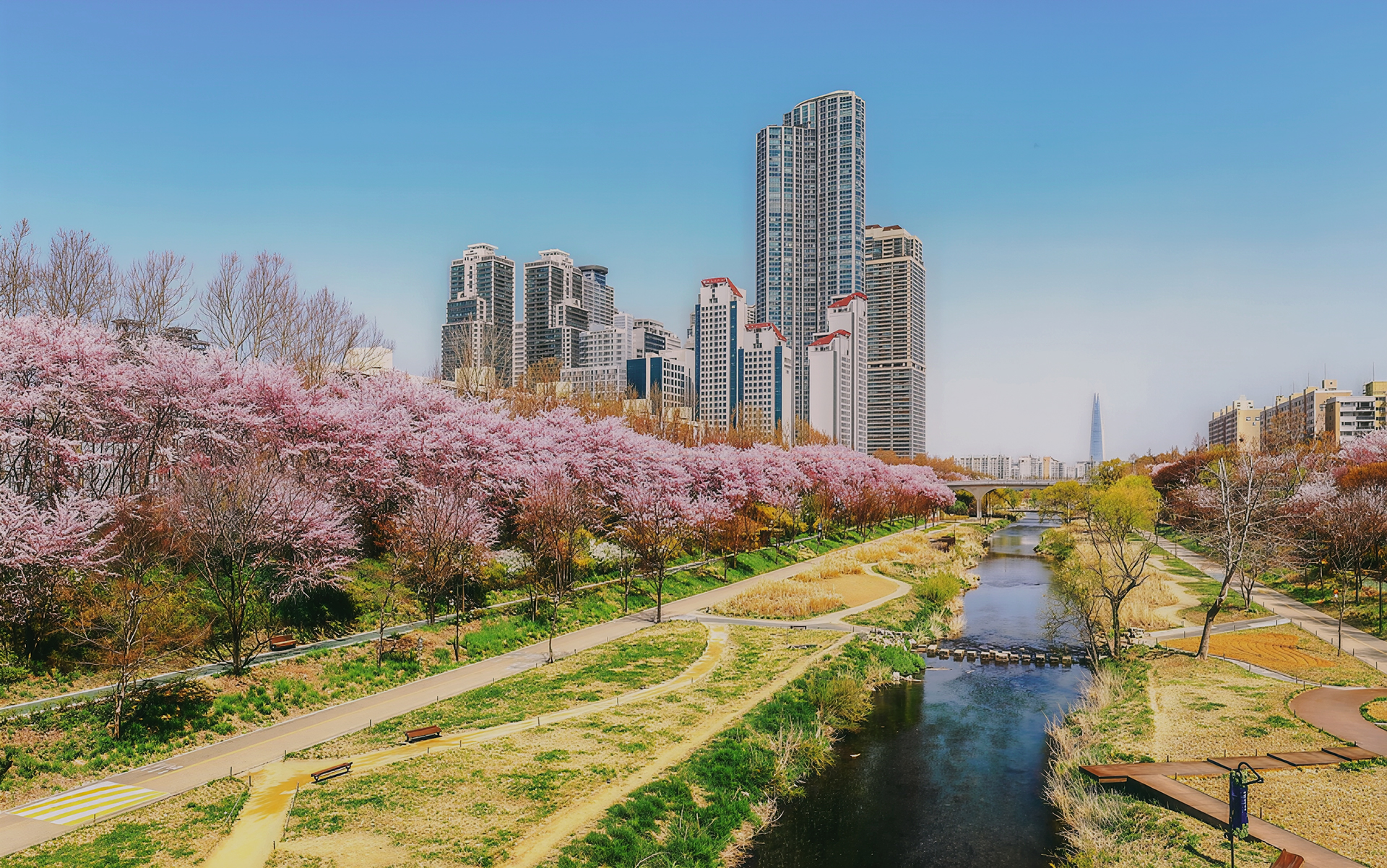 Fall in Love
with Gangnam